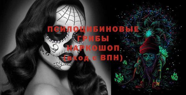 твердый Снежинск