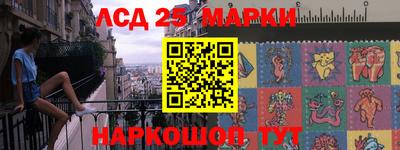 стаф Берёзовский