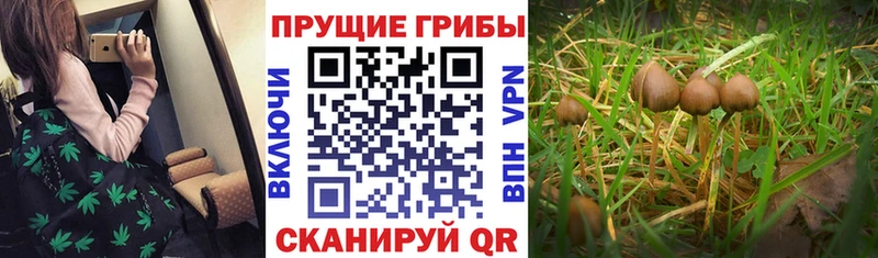 это клад сколько стоит Соликамск Галлюциногенные грибы GOLDEN TEACHER