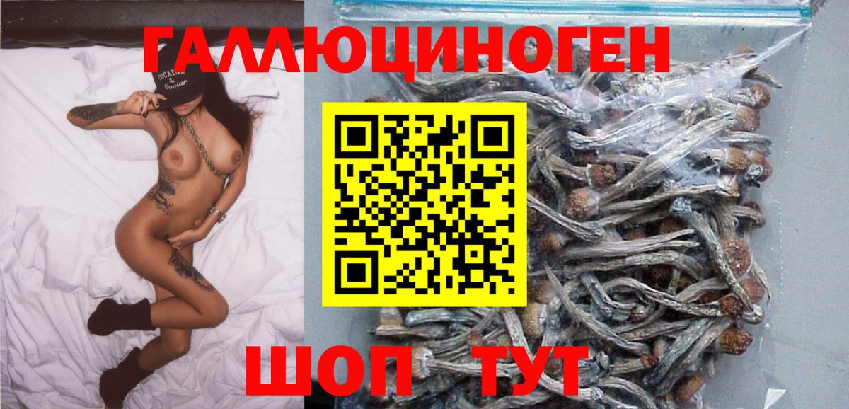 Псилоцибиновые грибы мицелий Соликамск