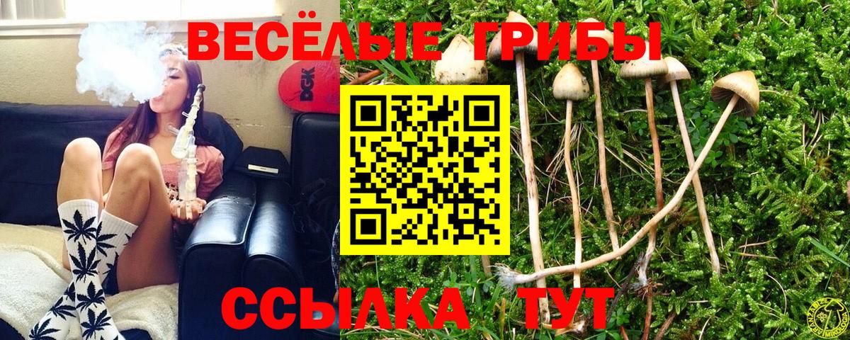 Соликамск  где купить наркоту  Галлюциногенные грибы мухоморы  Вход с VPN  Галлюциногенные грибы мухоморы 